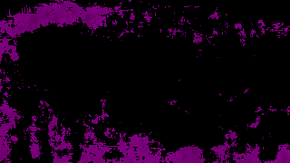black Bottom 25%